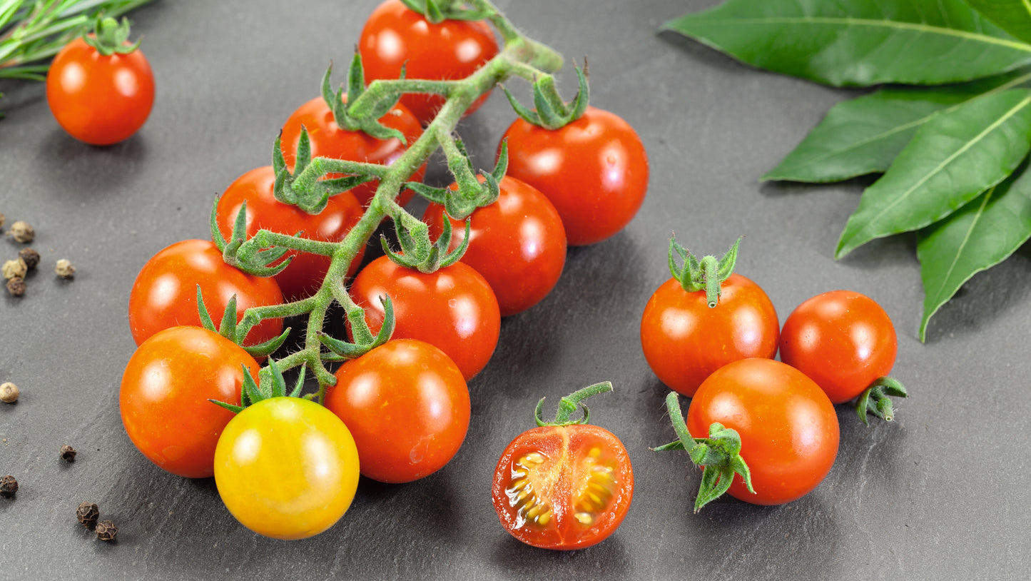 Tomatoes Lover's Variety-Pak 3 pc. R132153