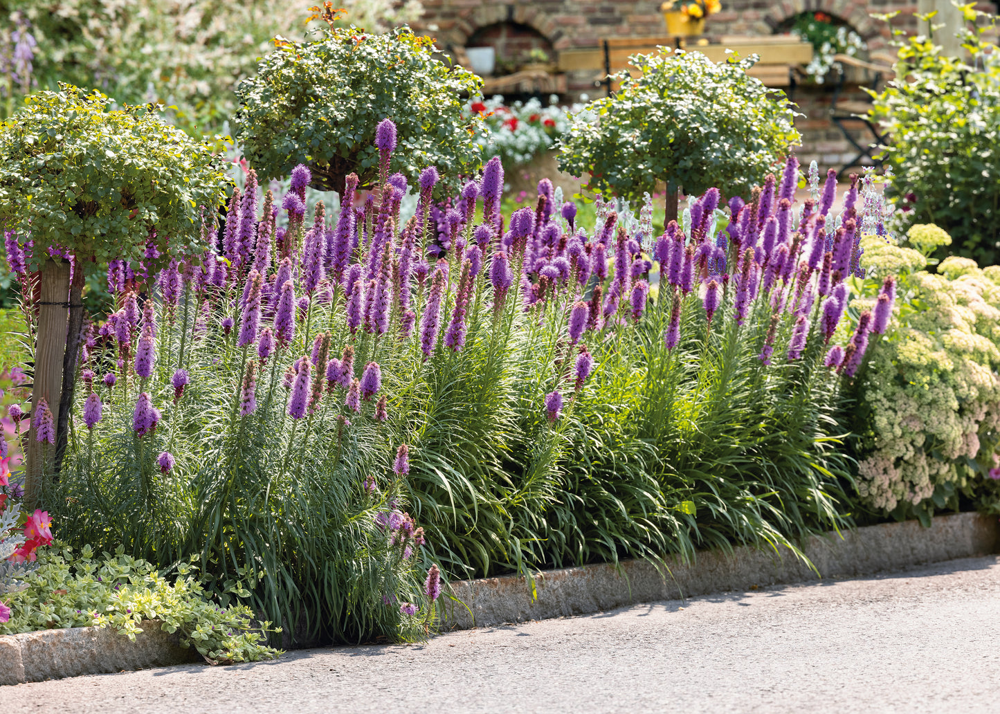 Perennial Pollinator Garden 8 pc.R132118