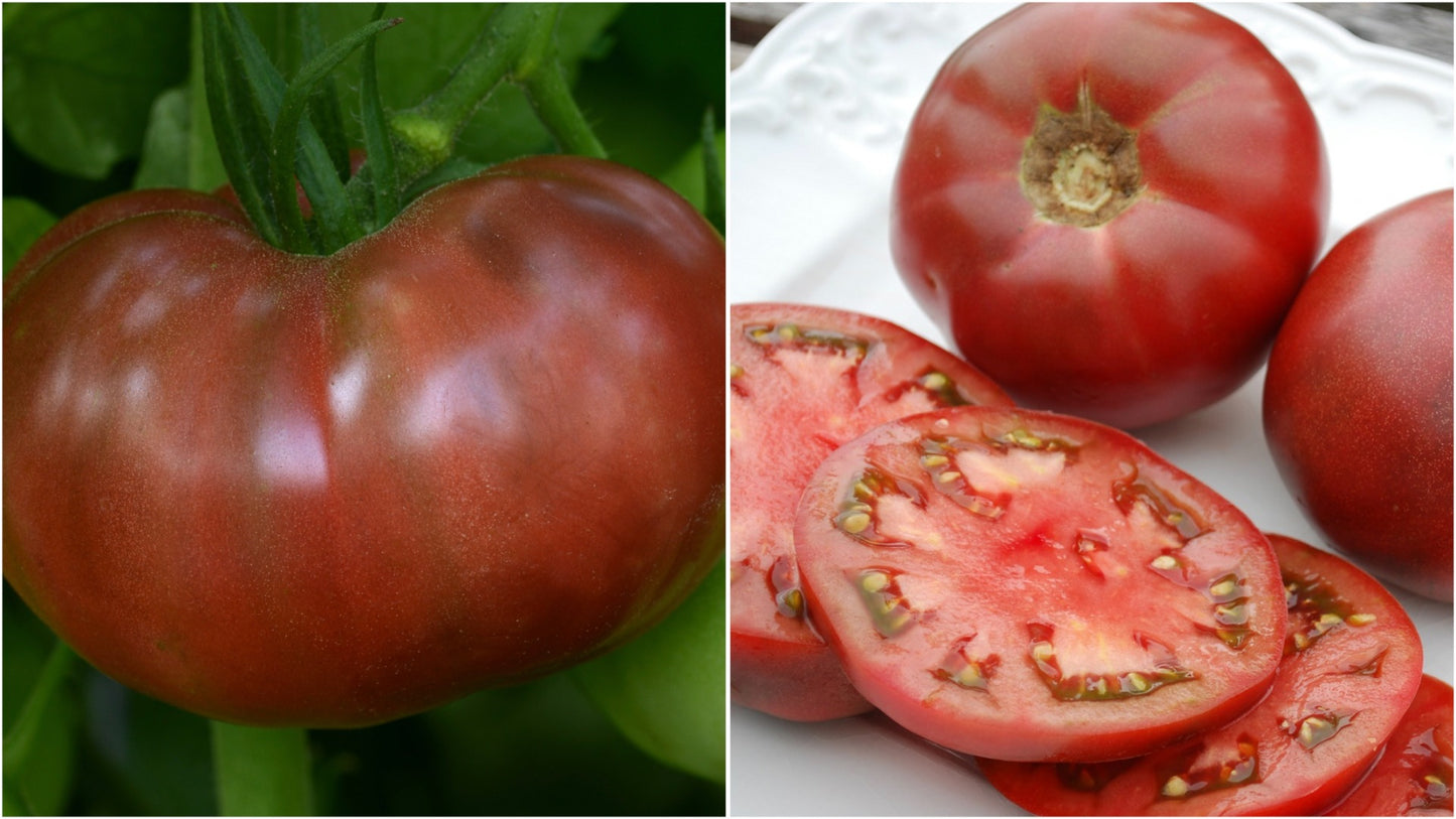 Tomato Heirlooms 3 pc. - R132223